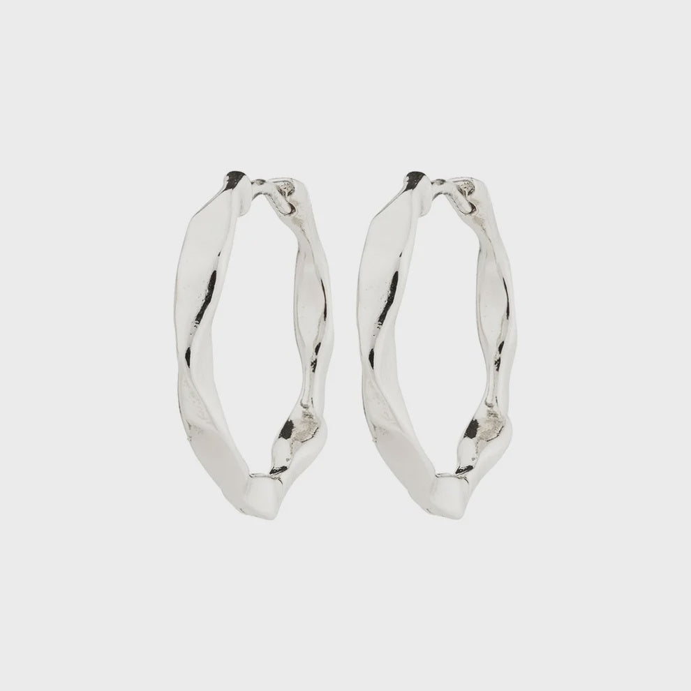 Pilgrim Dawn Earrings