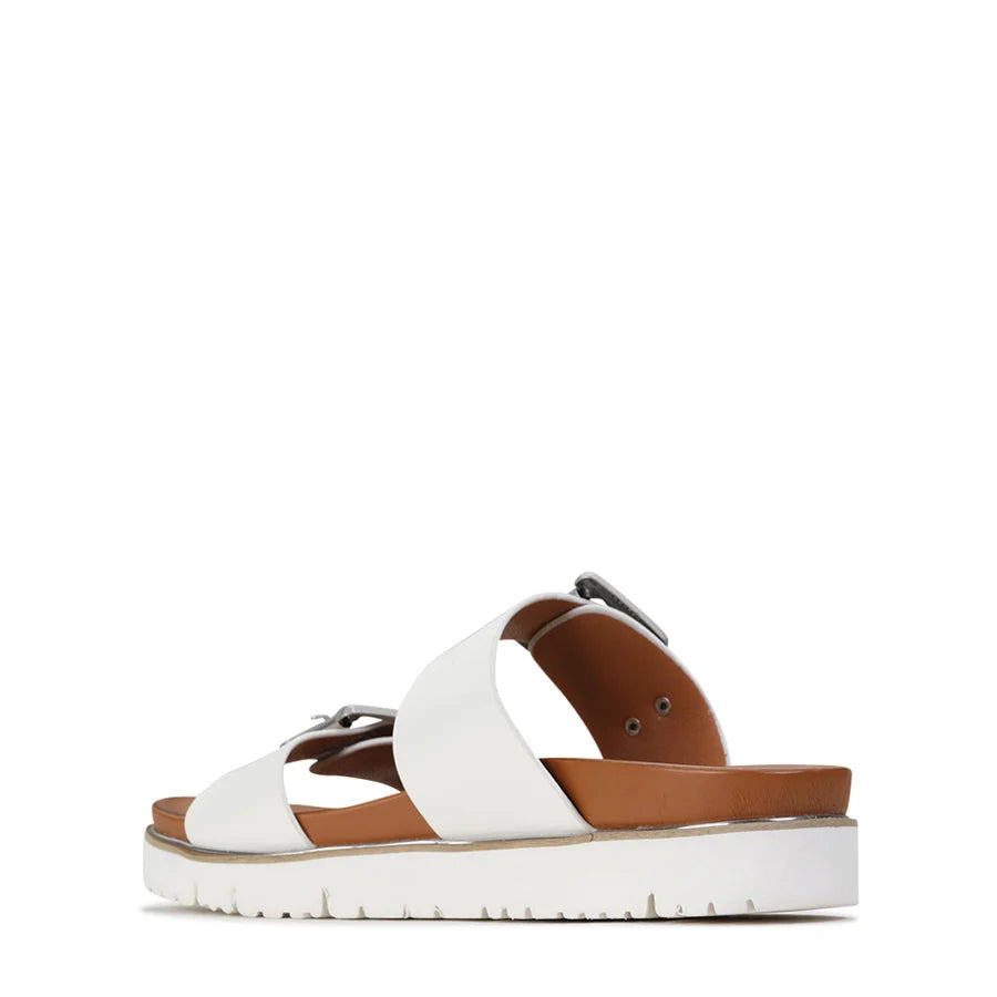 Los Cabos Carter