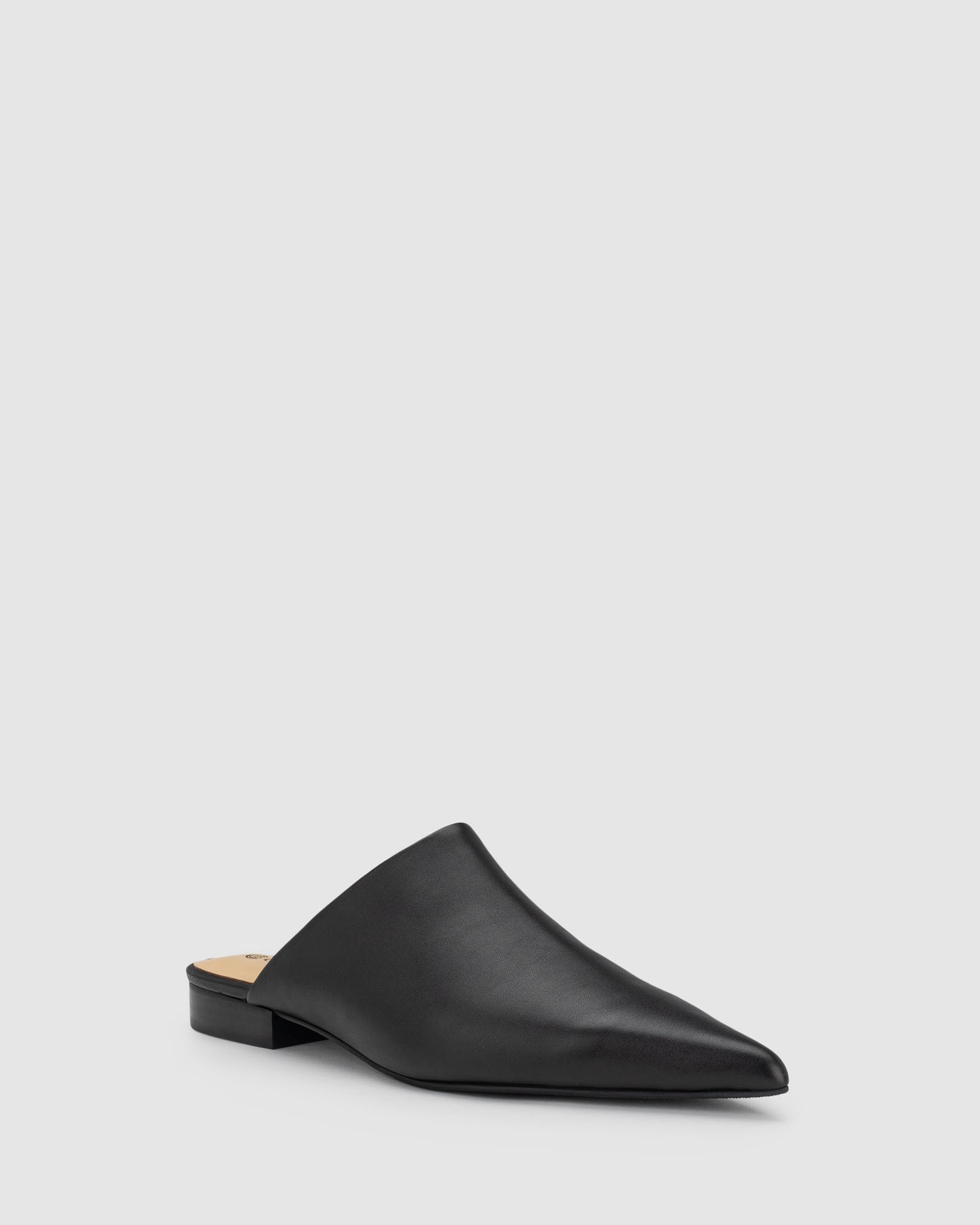 Chaos & Harmony Valor Mule