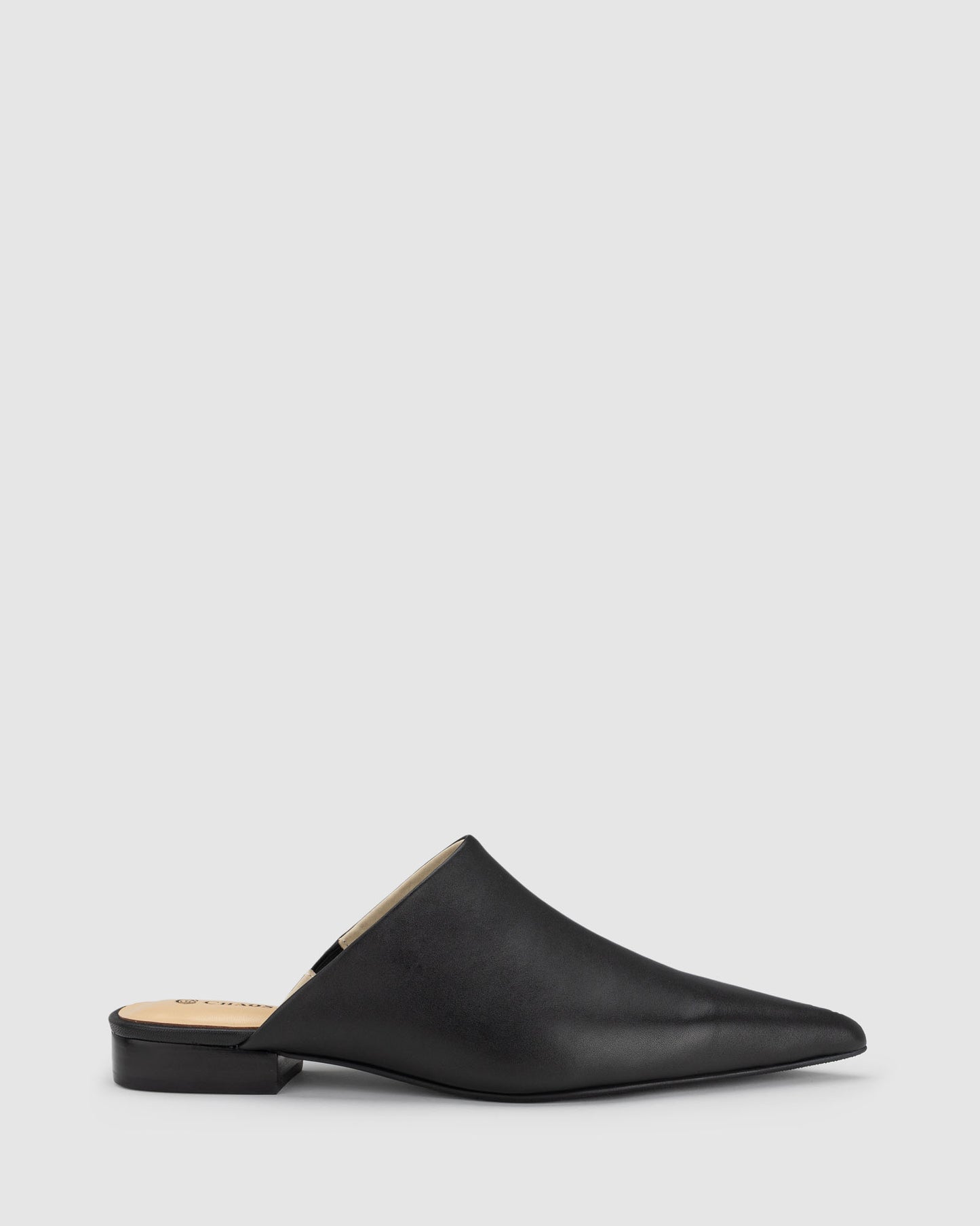 Chaos & Harmony Valor Mule