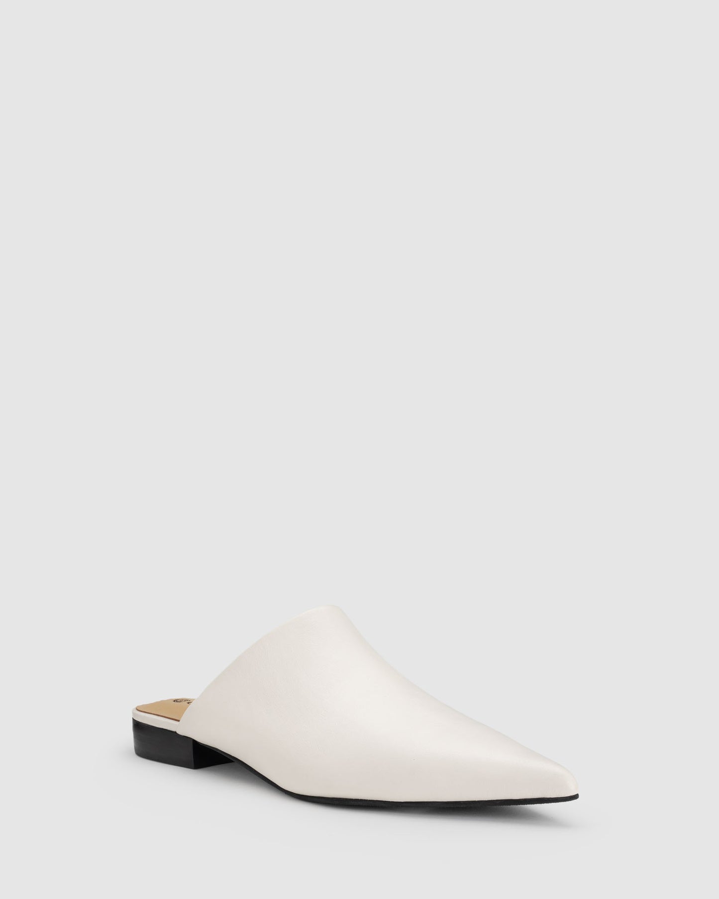 Chaos & Harmony Valor Mule
