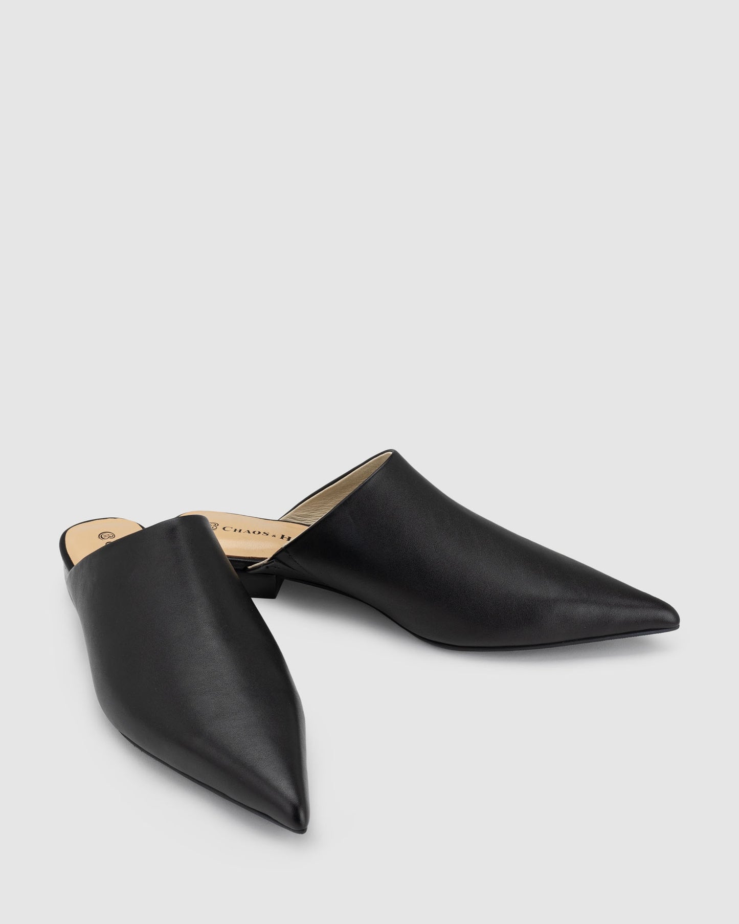 Chaos & Harmony Valor Mule