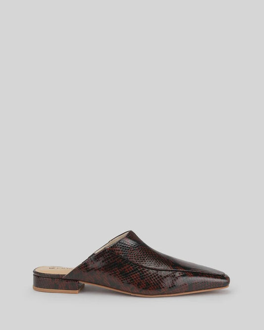 Chaos & Harmony - Solis Mule